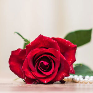 Red rose and pearls. Things to write in a wedding anniversary greeting card.